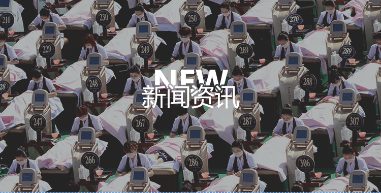 公司动态